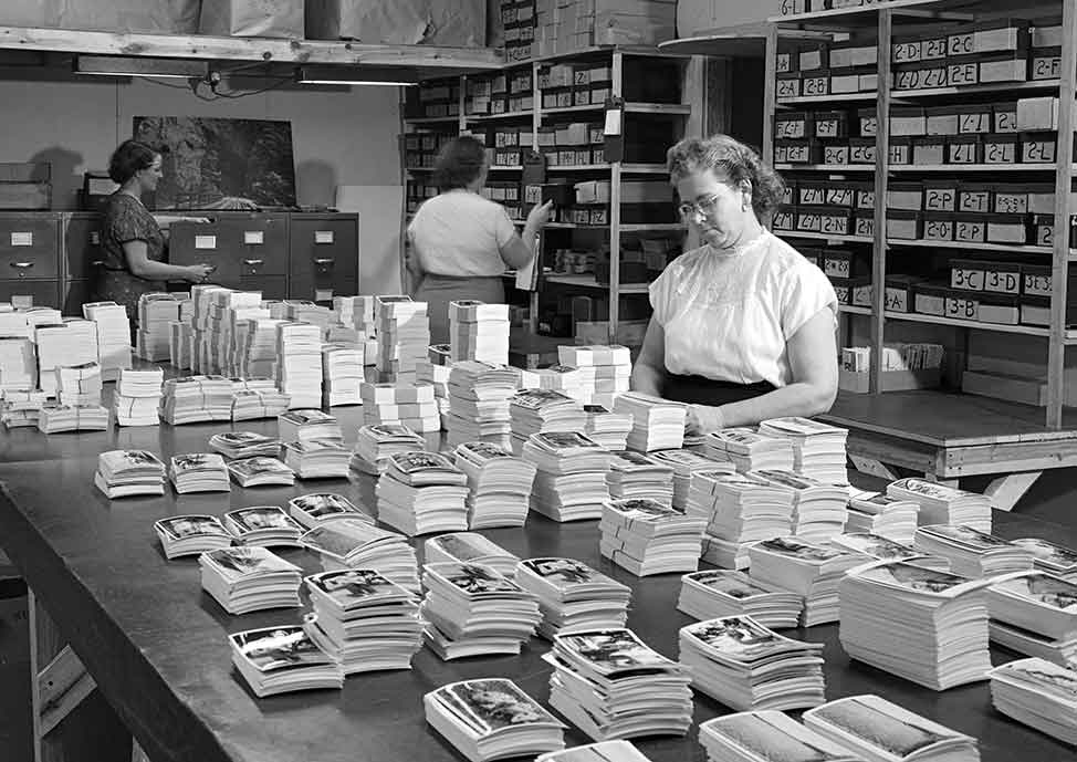 Employees sorting stacks of postcards at the W. M. Cline Co. processing facility.